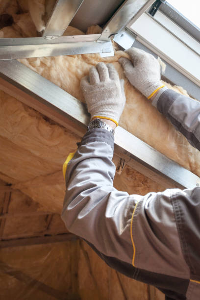 Best Soundproof Insulation  in Prophetstown, IL