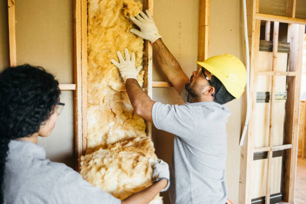 Best Batt and Roll Insulation  in Prophetstown, IL