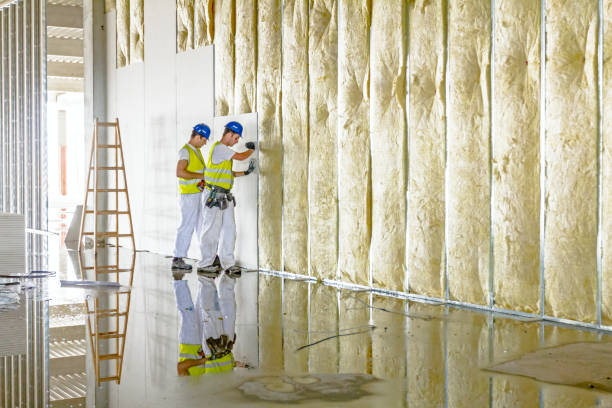 Best Eco-Friendly or Green Insulation Solutions  in Prophetstown, IL