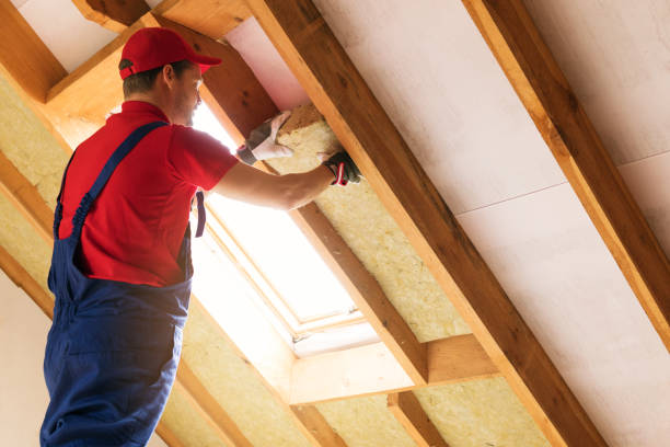 Best Attic Insulation Installation  in Prophetstown, IL